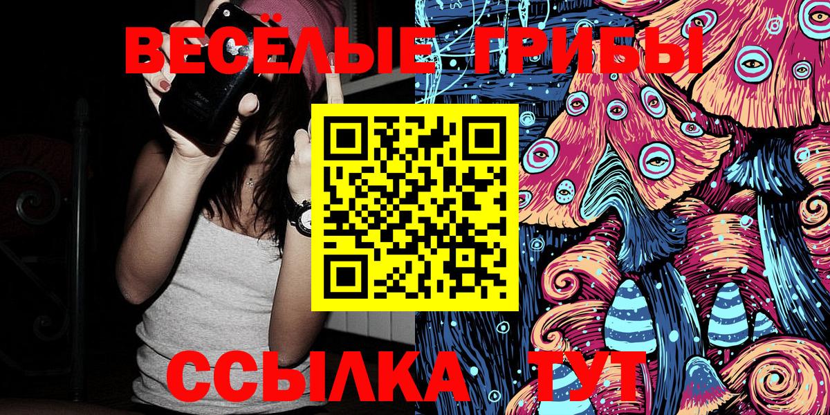 Мичуринск  купить наркоту  Галлюциногенные грибы Cubensis  Вход с VPN  Псилоцибиновые грибы MAGIC MUSHROOMS 